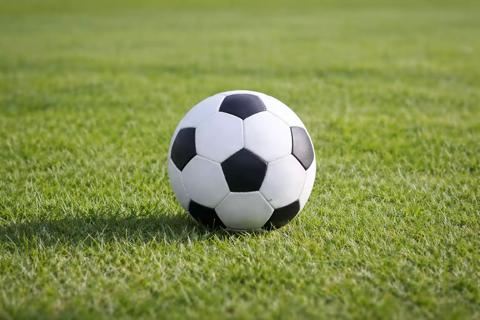 Un'immagine generica segnaposto con angoli arrotondati in una figura.